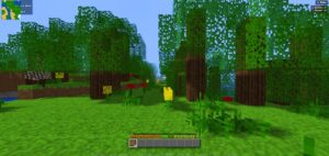 Sammu Craft