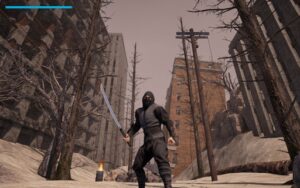 Ashen Ninja - Rust and Katana