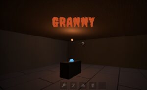 Silent Steps - Granny's Manor