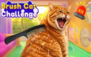 Brush Cat Challenge